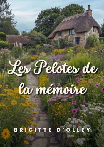 Couverture de Les Pelotes de la mémoire